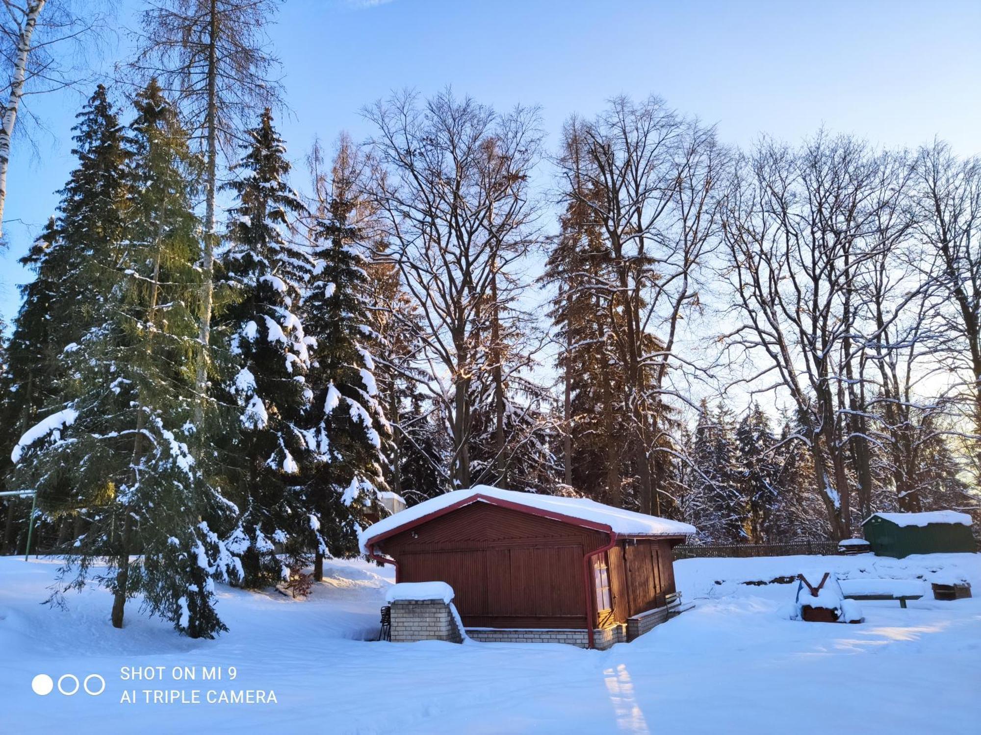 Lesni Chaty "Hogo Fogo" Kytlice Bagian luar foto