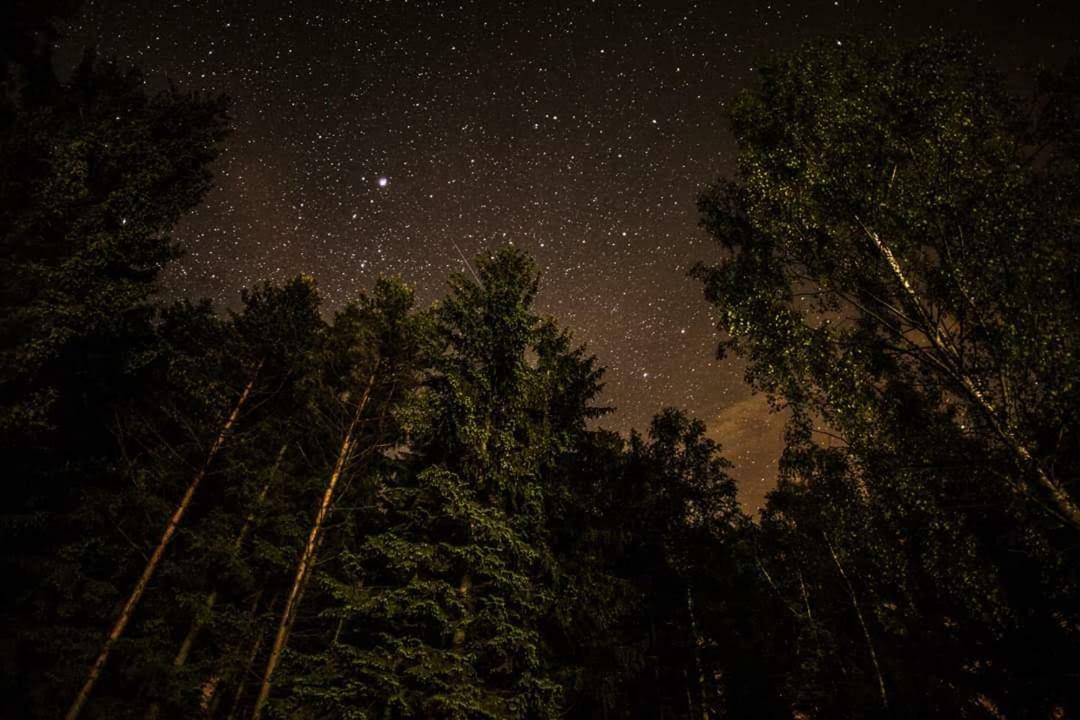 Lesni Chaty "Hogo Fogo" Kytlice Bagian luar foto